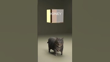 OIIA OIIA Cat Liquid Simulation