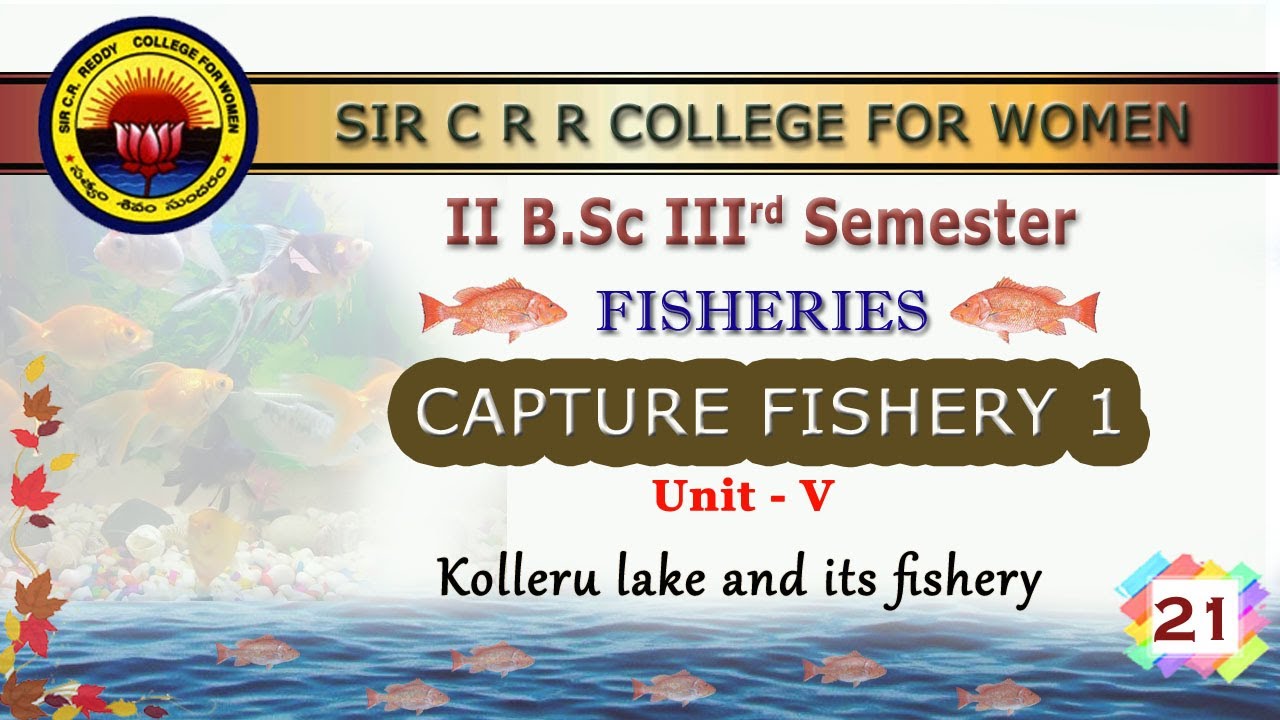 21. II BSc 3rd Sem - FISHERIES -  CAPTURE FISHERY 1 - Unit 5 -  Kolleru lake and its fishery