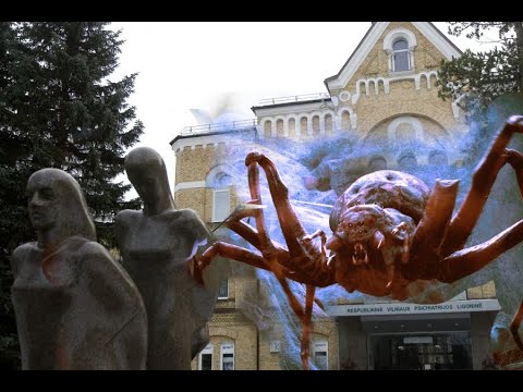 паук - YouTube