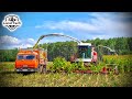 Эти комбайны работают 24 часа в сутки! РСМ 2650 - уборка кукурузы на силос 2025