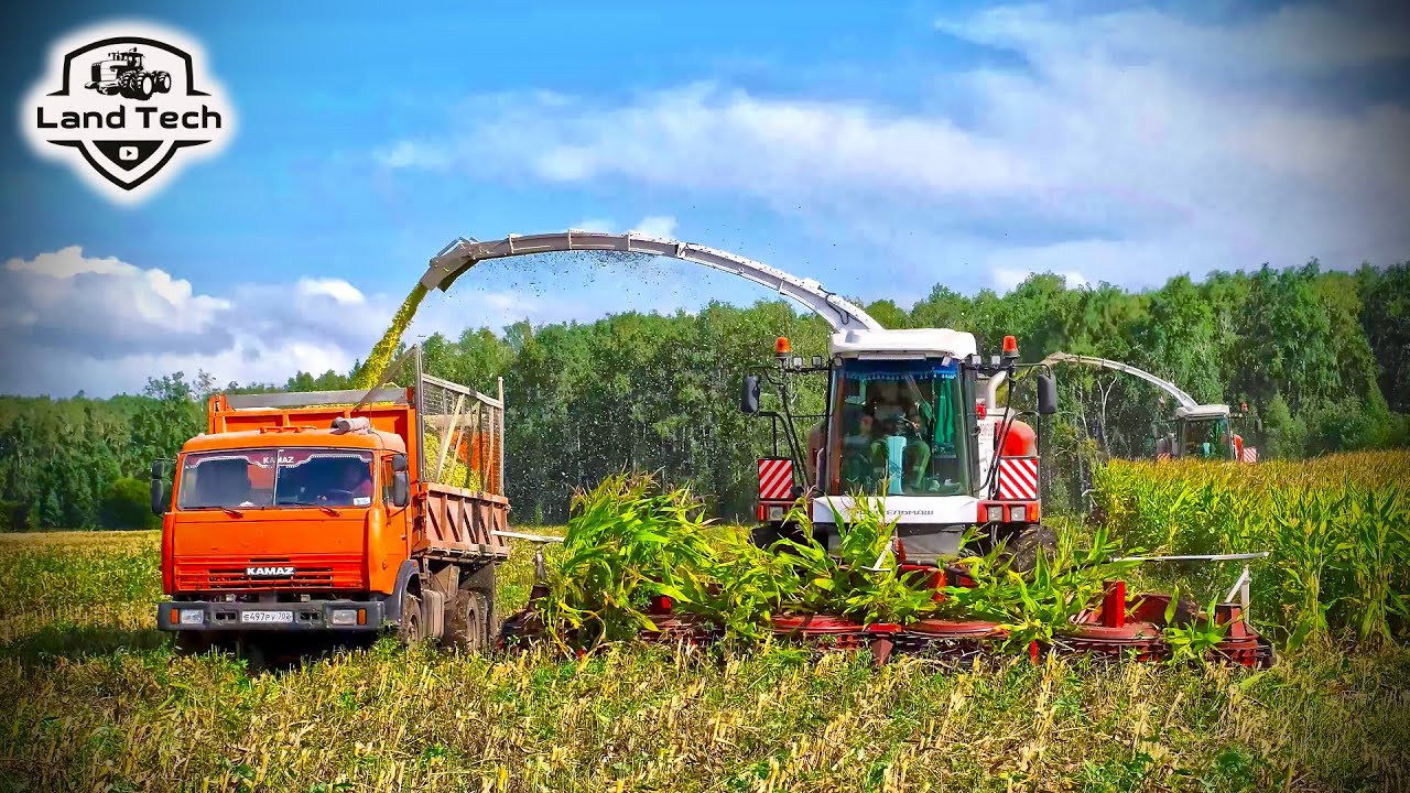 Эти комбайны работают 24 часа в сутки! РСМ 2650 - уборка кукурузы на силос 2025
