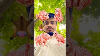 Skin animal transfer IQ TikTok viral effect #trending #viralvideo #wow
