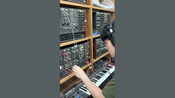 激レアシンセで遊んでみた！！#アナログシンセ#dtm #analogsynth #indie #sounddesign #シンセ #ゲーム音楽　#音響 #音フェチ #音楽