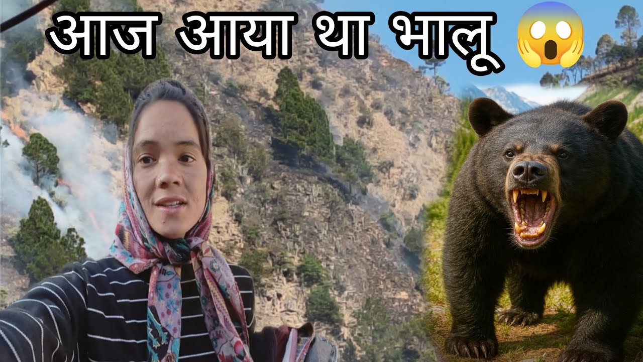 आज कल भालू \ बाग का आतंक गांव में || 