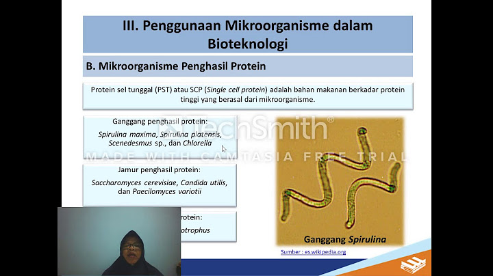 Contoh Hasil Pangan dari Proses Bioteknologi dan Mikroba