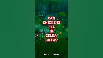 Zelda: Can Chickens Fly in Zelda: BOTW #viral #zeldabotw #shorts #fyp #games #nintendogame #link