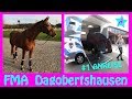 Wölbchen und Canto on Tour I Wir fahren nach Dagobertshausen I Follow me Around I