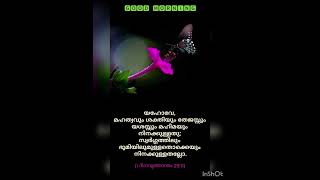 Bible Verses  Gods Grace Mj Viogs