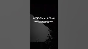 #قرآن #quran #المصحف #اكسبلور #explore #لايك #yasseraldossary #الشيخ_ياسر_الدوسري #سورة النحل