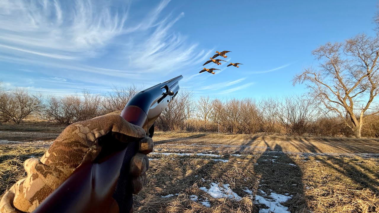 Pass Shooting Geese with Tim Wells! (Catch and Cook)