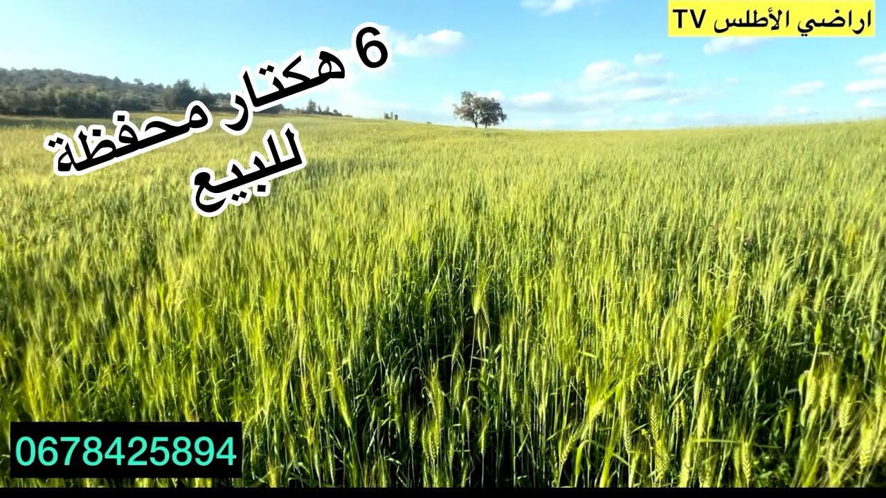 ارض فلاحية محفظة 6 هكتار على بعد 10 klm من خنيفرة تمن البيع 44 مليون