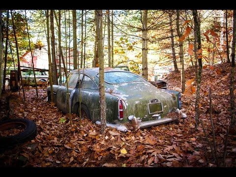 ковёр с оленями ссср фото