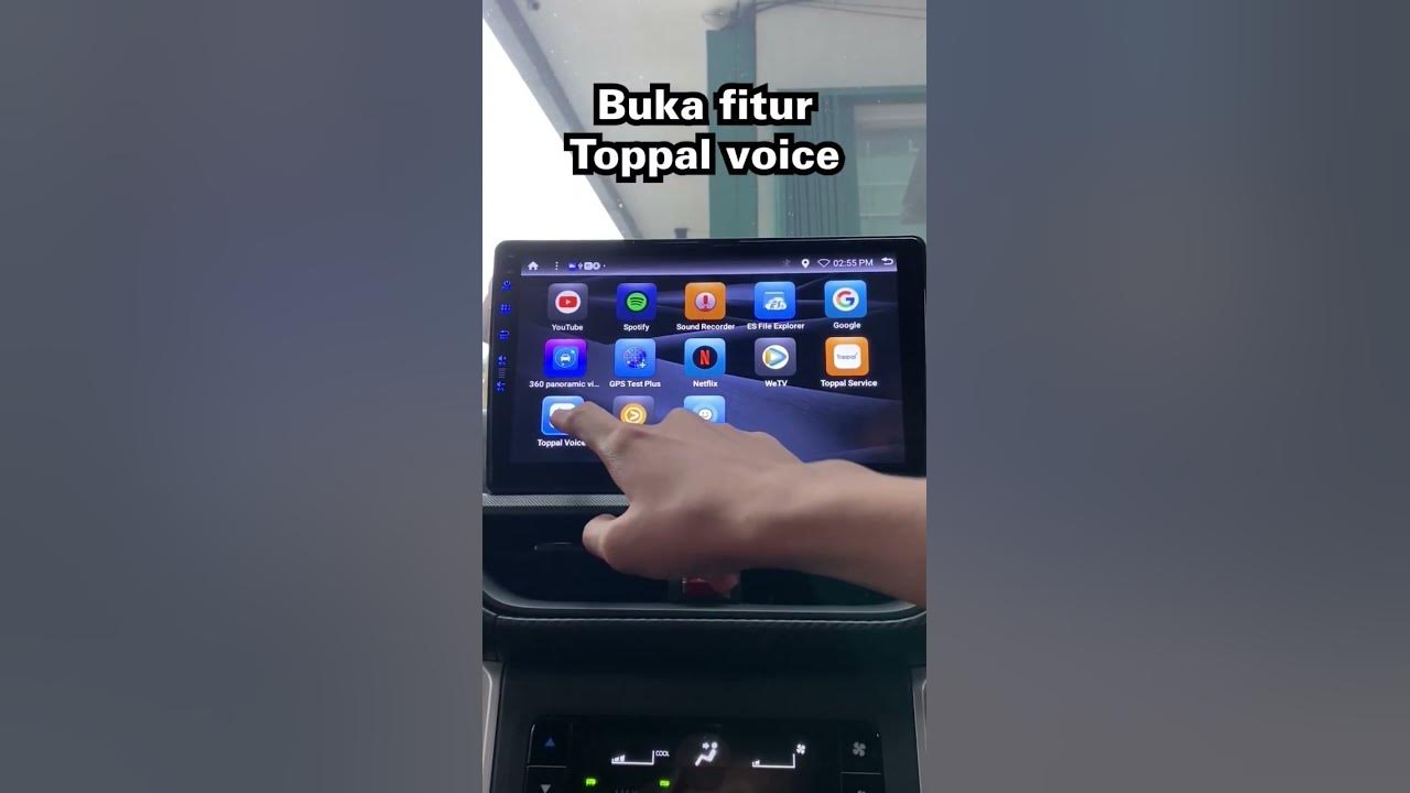 Toppal voice активация