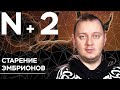 Андрей Коняев объясняет, как стареют эмбрионы человека // N+2