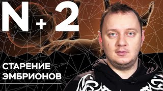 Андрей Коняев объясняет, как стареют эмбрионы человека // N+2