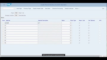 1  Create a Physical Inventory Document