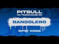 Pitbull, Gipsy Kings - Bandolero (Visualizer)