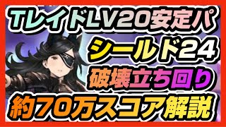 【BDBL】♯ 176●チームレイドLv20シールド24破壊立ち回り約70万スコアの解説【ブレイブリーデフォルトブリリアントライツ】