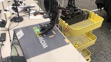 AMD Robotics Hackathon - Team 5 - Bottle PnP and Relocation (ACT policy)