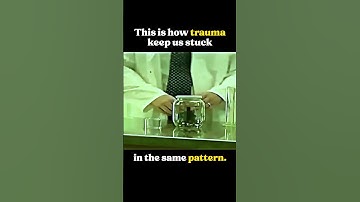 The truth about TRAUMA | The power of subconscious conditioning