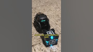 Vector Robot use #vector #vectorrobot #ai #short #robot #robotic #airobot #video #viral #fyp #foryou