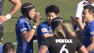 ラグビー　シャイニングアークス　オーセンティック ShiningArcs Cup