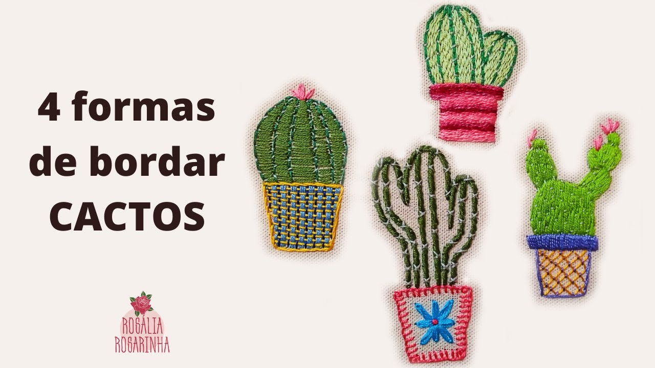 Riscos e Desenhos  Desenhos de Cactus e Suculentas