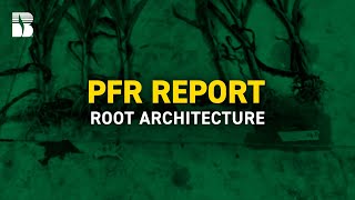 Root Architecture | Beck's PFR Report