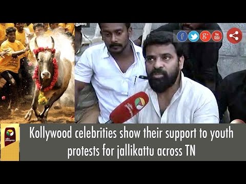 Kollywood celebrities show their support to youth protests for jallikattu across TN