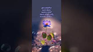 Inspirational quotes in telugulife quotes trending viral motivation shortvideo shorts short