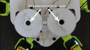 HEXABOT: a novel insect-inspired optical compass sensor for a hexapod walking robot (IEEE IROS 2017)