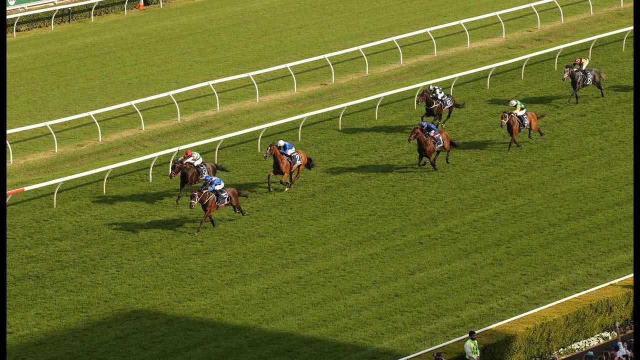 The Golden Eagle A 75m Race