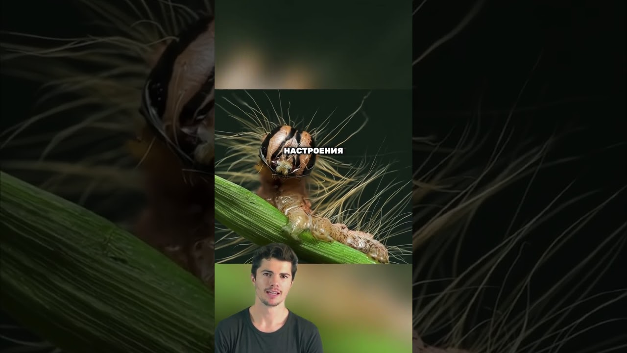 Редкие фотографии, которые Вы раньше не видели 