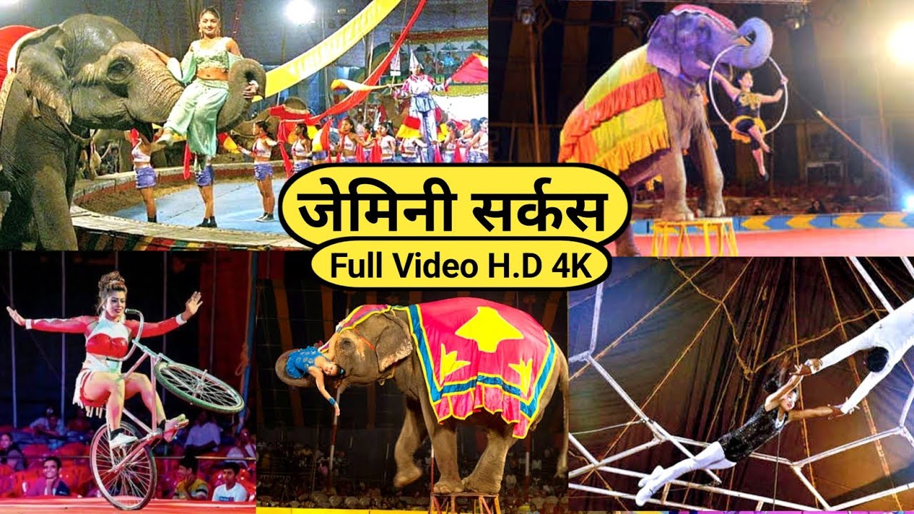 राजगीर मेला को Hit किया हुआ है एक सर्कस | लोग का भीड़ काबु नही हो पा रहा 