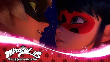 Ladybug und nackt noir miraculous cat Ladybug from