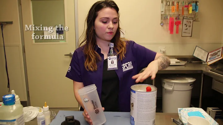 How To Bottle Feed Kittens