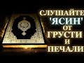 ✔Сура ЯСИН .surah yasin .Йасин сураси