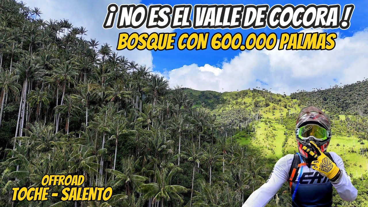 SANTUARIO DE LA PALMA DE CERA / OFFROAD TOCHE - SALENTO / NO ES EL VALLE DE COCORA / TOLIMA QUINDÍO