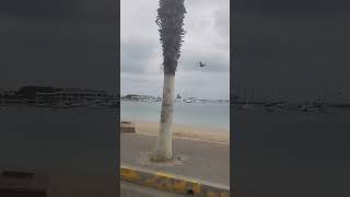 Me Gustas Tu Salinas, Ecuador