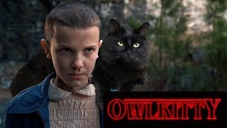 Stranger Things - With A Cat