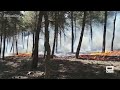 La limpieza de montes, la gran aliada contra el fuego | Ancha es Castilla-La Mancha