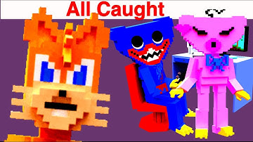 FNF Character Test | Gameplay VS Minecraft Animation | All Caught Sonic, Huggy Wuggy