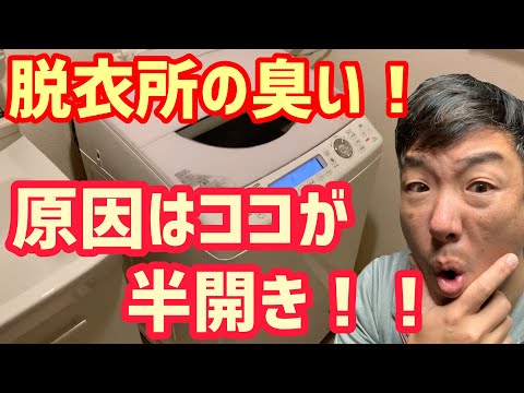 脱衣所がカビ臭い！洗濯機周辺が下水臭い！原因はココだった！【臭いの原因】【排水溝】【洗濯機】【洗濯パン】全て綺麗にします！！