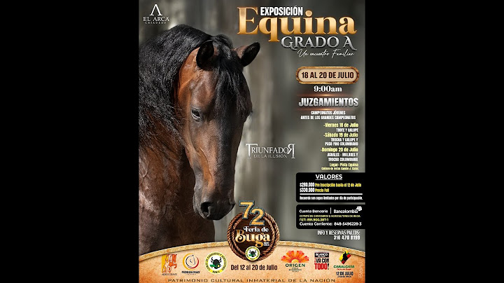 EXPOSICION EQUINA GRADO "A" BUGA 2025 -TROCHA Y GALOPE - PASO FINO COLOMBIANO - DIA 2.