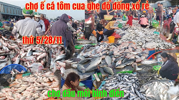 thứ 5 cá tôm cua ghẹ đổ đống xổ rẻ bất ngờ chợ đầu mối bình điền