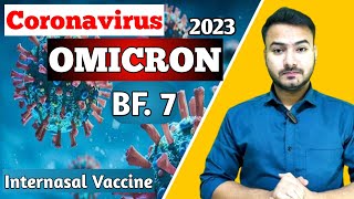 Internasal Vaccine BBV154 | Omicron BF.7 | Bharat BioTech | Coronavirus 2023 | Good Turn