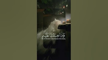 واوحينا الى ام موسى ان ارضعيه | تلاوة خاشعة تبعث الطمأنينة