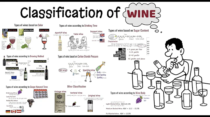 Wine and its classification/ Different Types of wine/Alcoholic beverages/Sparkling wine - DayDayNews