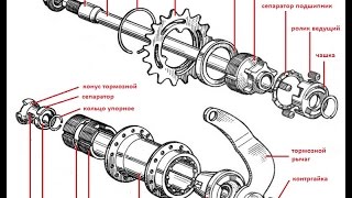 видео: Втулка заднего колеса велосипеда с педальным тормозом,барабанного типа с храповым приводом. картинка: Втулка заднего колеса велосипеда с педальным тормозом,барабанного типа с храповым приводом.
