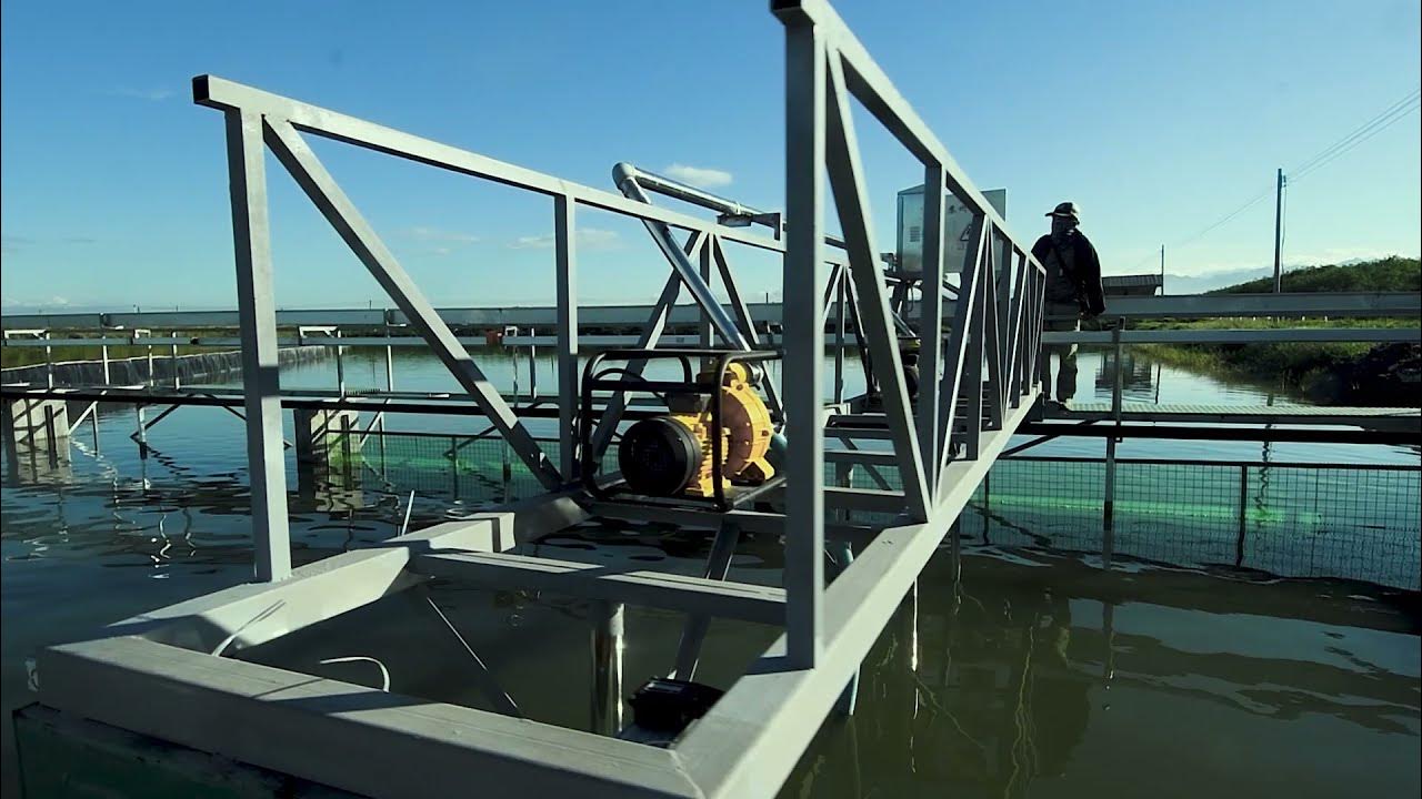 InPond Raceway System (IPRS) in the Phillipines YouTube